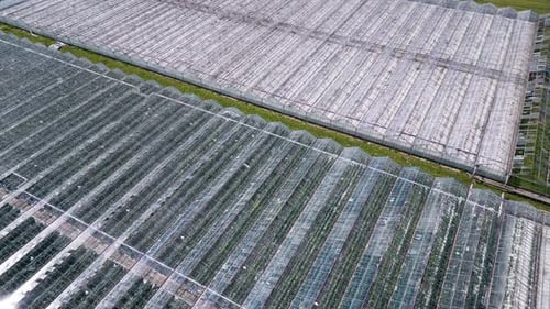 Vue de dessus de grandes serres avec des rangées de plantes visibles à l'intérieur utilisées pour l'agriculture contrôlée