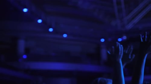 Energetic Crowd Dancing at a Nighttime Music Event