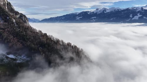 forest covered cliffs fade into a vast rolling cloud ocean beneath distant snowy peaks