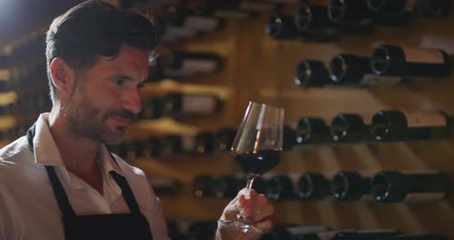 Wine Expert Examining Glass of Red Wine