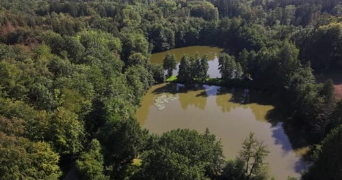 Aerial shot of a small lake surrounded by a dense green forest during summer