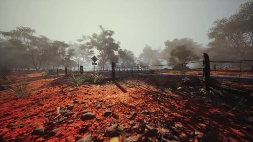 Red Dirt Field With Fence and Trees