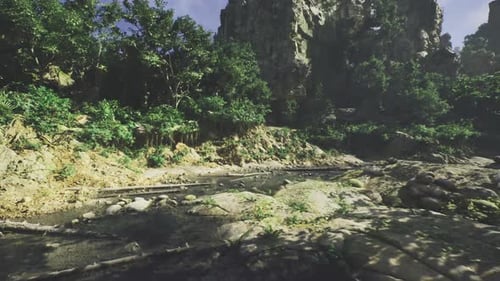 Hautes terres calcaires ensoleillées parsemées de buissons clairsemés et de profondes fissures