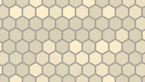 Lucent Vista Collection: Sharp anamorphic lens flare with the fade in and out effect shot on a 75mm