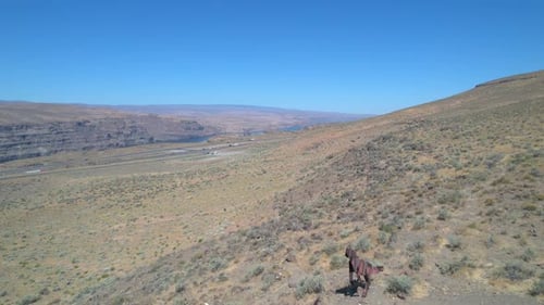 Drone flyover of Wild Horses Monument at the Columbia River Gorge