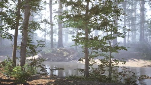 A Tranquil Morning in a Misty Forest By a Serene Riverbank