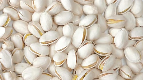 Abundance of Raw Pistachios in Shells, Close Up
