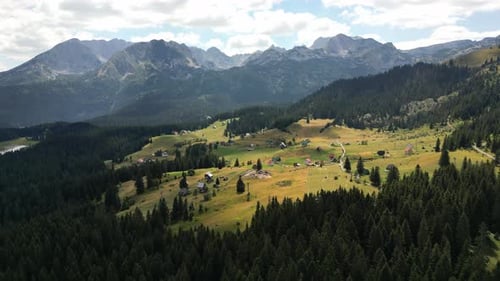 Aerial view of a beautiful, coniferous forest, huge epic mountains stand on the horizon. Durmitor.
