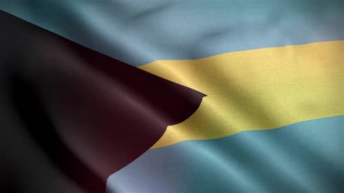 Waving Flag Background Animation with Dynamic Color Overlay