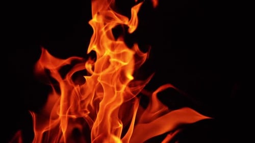 Bright flame rising up in the darkness. Tongues of bonfire moving in the wind at night. Close up.