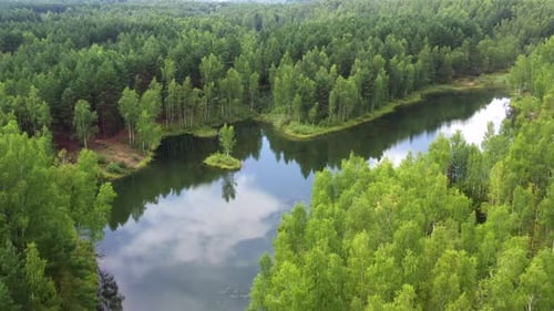 Aerial view of a forest lake with a small island.