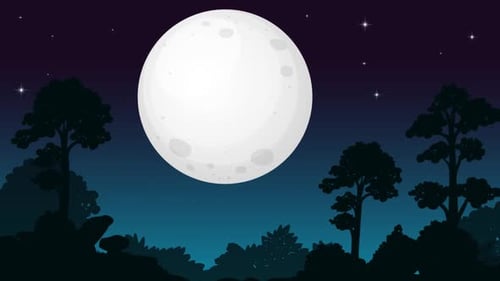 Night view Background