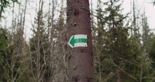 Trail marker on tree guiding hikers through snowy mountain forest