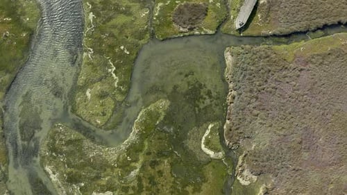 4K-Drohnenaufnahmen von üppigem Grünland an der Westküste Südafrikas