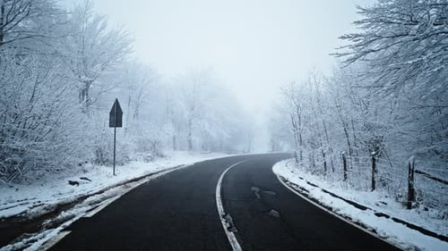 Snow-covered road winding through a serene forest in winter, tranquil and scenic
