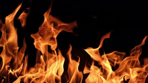 Roaring Fire Flames on Black Background