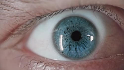 Extreme Close Up of a Blue Eye Opening