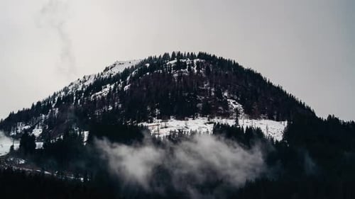 Beautiful winter landscape with snow covered trees and fog, time lapse view