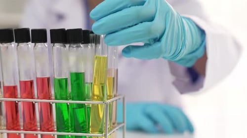 Colorful Liquids in Test Tubes for Science