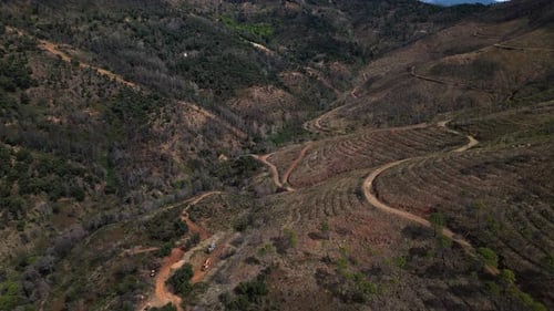 Industrie de la déforestation dans les montagnes d'Espagne, vue aérienne
