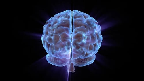 Rotating 3D Human Brain with Neural Activity Loop