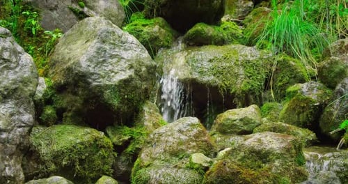 Close up of thin waterfall stream splash, spring water falls and dribbles on rocks covered with gree