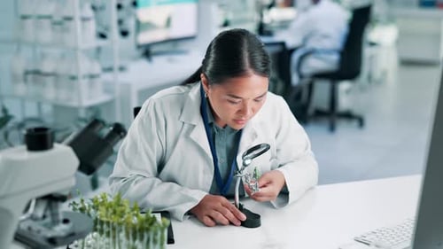 Plant scientist, magnifying glass and woman in laboratory for research and development of medical