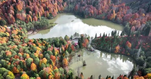 Autumn Forest Lake — Vista aérea de águas tranquilas por drone