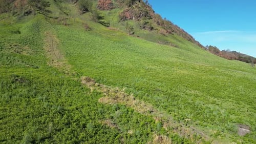 Scenic Aerial View of Green Hills and Mountains Under Blue Sky in Bromo Mountain