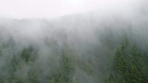 Aerial View of Beautiful Mountain Landscape Fog Rises Over the Mountain Slopes