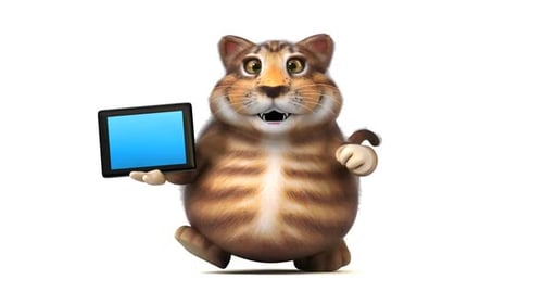 Chat amusant - Animation 3D
