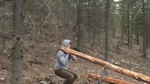Young Adult Holding Log in Forest