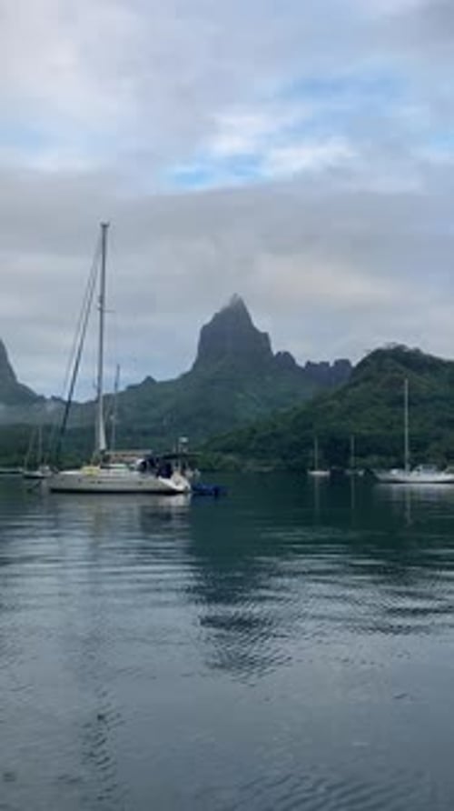 Vertical phone footage of the anchorage in Moorea French Polynesia