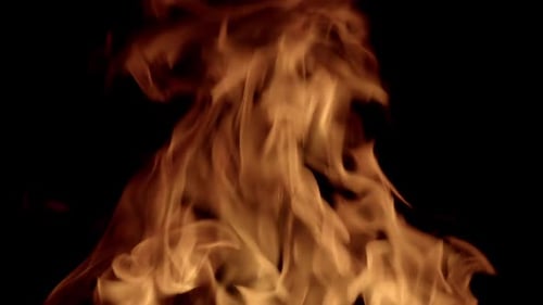 Dynamic Golden Flames Dancing on a Black Background