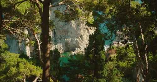 Hidden Rocky Cove with Emerald Water Seen Through Dense Pine Trees on Capri Coastline