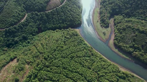 Aerial River and Forest