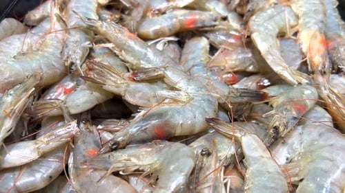 Fresh Raw Shrimp at the Fish Market