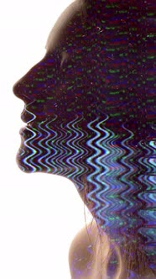 Woman in Profile with Digital Interference Effect