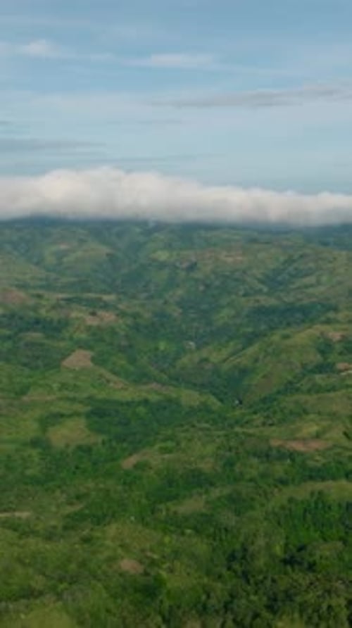 Tropical Forest in Mountain Province in the Philippines
