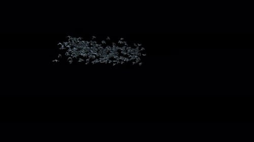 Animated Swarm of Bats Flying for Spooky Halloween