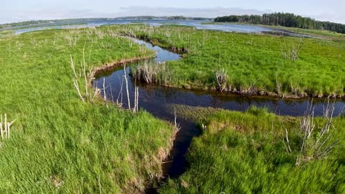 Aerial drone view of a winding stream cutting through lush green wetlands in Michigan’s Upper