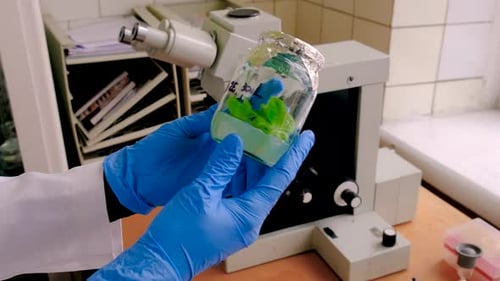 Examine in the Laboratory Under a Microscope Selective Focus