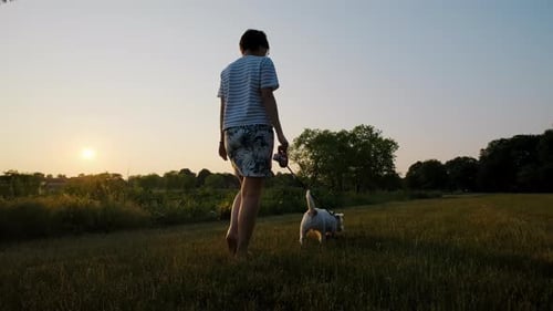 Woman Walk with Adorable Jack Russell Terrier Pet in a Park at Sunset Time Close Up Shot