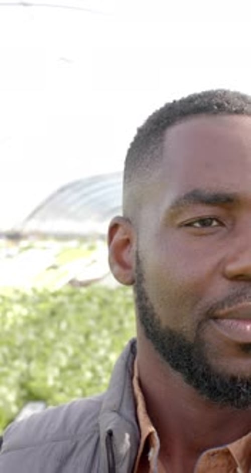 Vertical video: Showcasing sustainable agriculture, smiling man standing in hydroponic farm