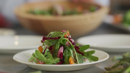 Close up plating fresh green salad on plate