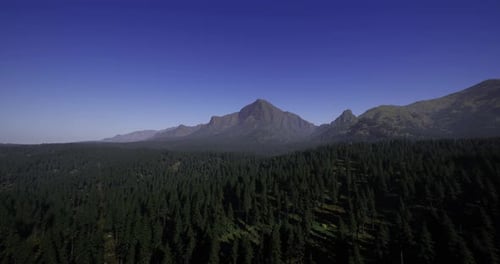 Majestic Mountain Range with Lush Green Forest Under Clear Blue Sky