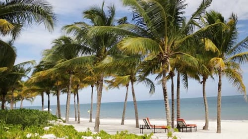 Beach, Nature, Sea, Summer Vacation and Leisure Concept - Tropical Beach With
