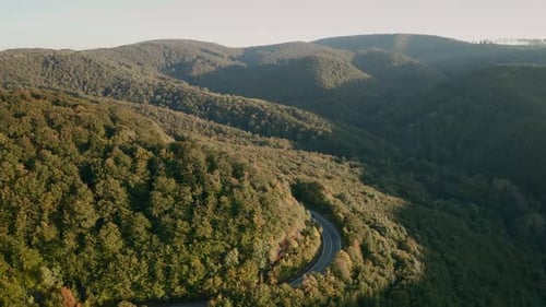Aerial tilt down drone shot of winding mountain road in the middle of a forest.