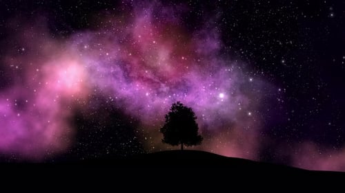 Abstract Night Tree And Sky Space Background Loop 4k
