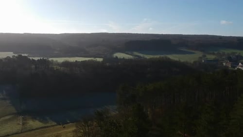 Bird flying by over beautiful fields